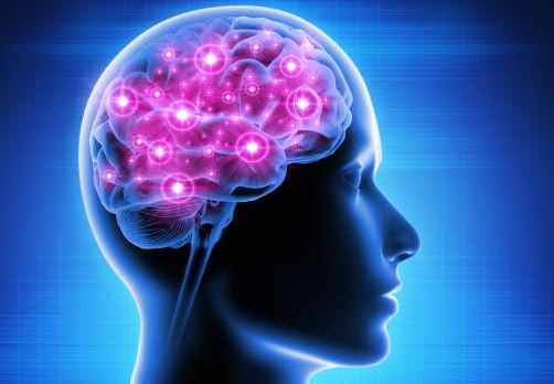 Holding information in mind may mean storing it among synapses