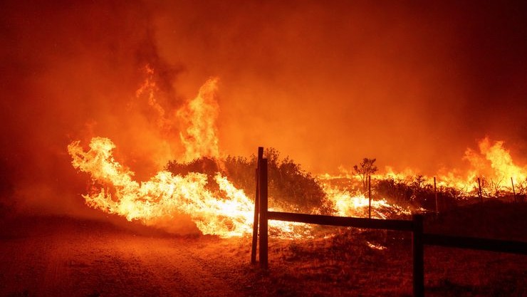 Large Fire Breaks Out in Bandaragama Paddy Field