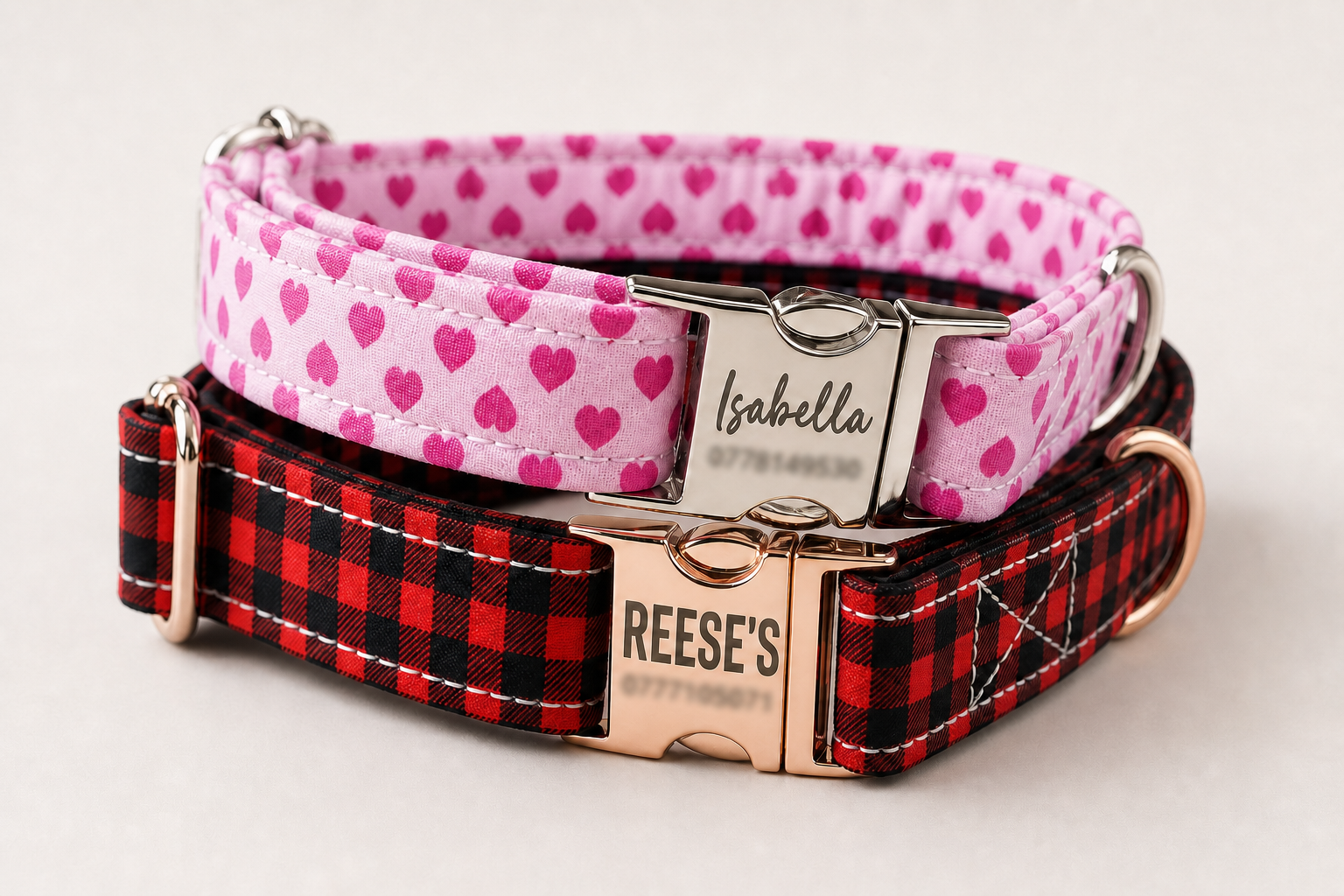 What Is a Personalized Dog Collar and Why Does Your Dog Need One?