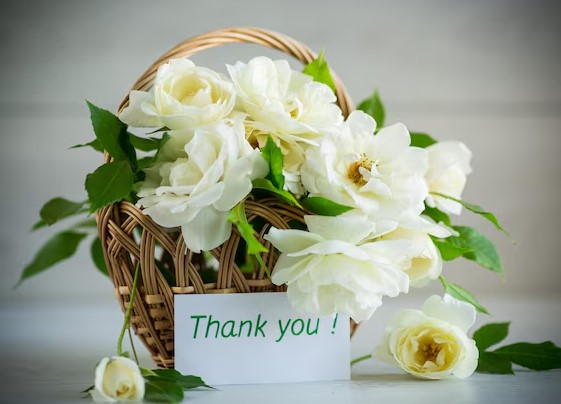 120 Heartfelt Thank You Notes for Teachers from Students